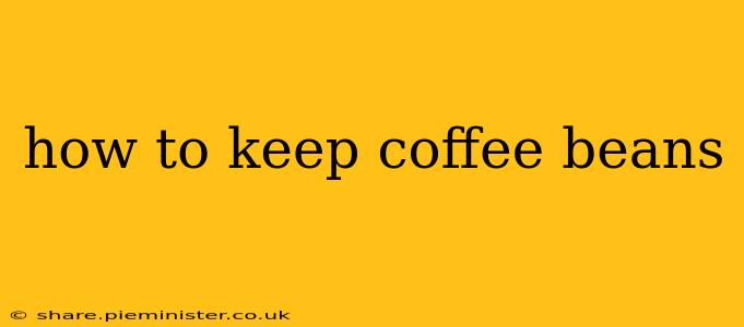 how to keep coffee beans