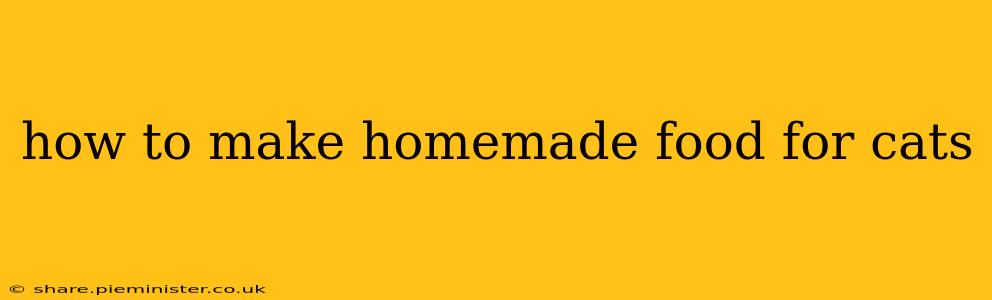 how to make homemade food for cats