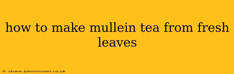 how to make mullein tea from fresh leaves