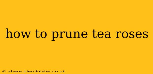 how to prune tea roses