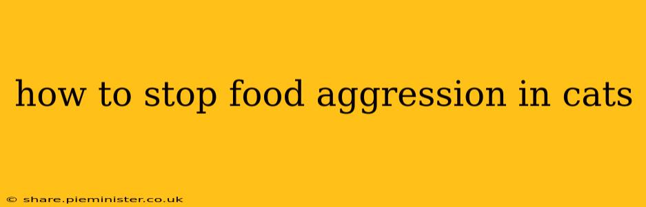 how to stop food aggression in cats