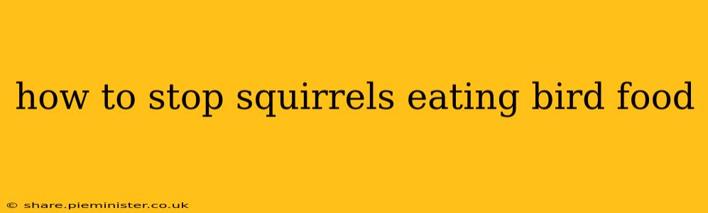 how to stop squirrels eating bird food