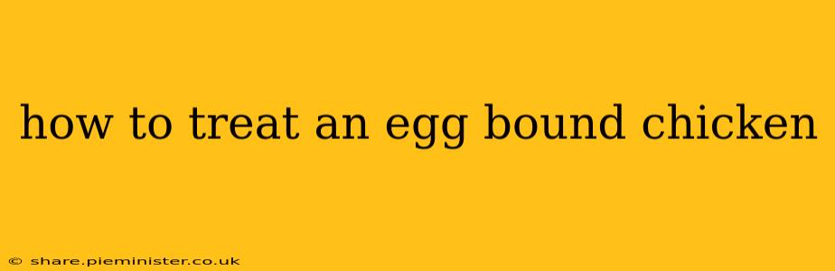 how to treat an egg bound chicken