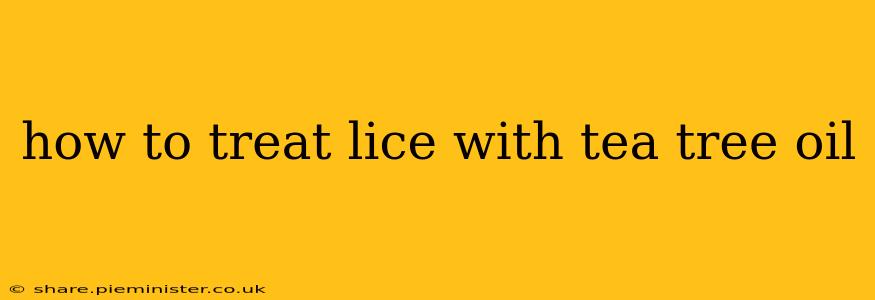 how to treat lice with tea tree oil