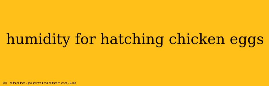 humidity for hatching chicken eggs