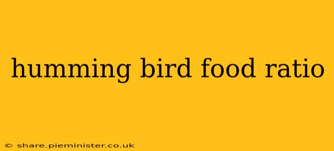 humming bird food ratio