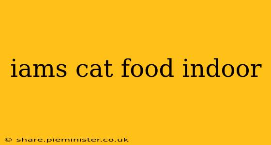 iams cat food indoor