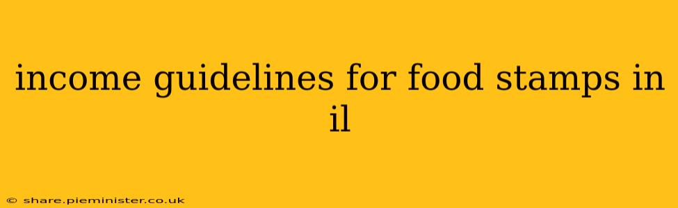 income guidelines for food stamps in il