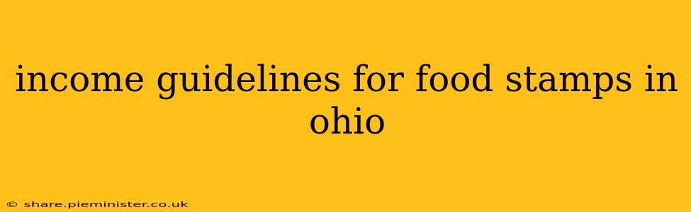 income guidelines for food stamps in ohio