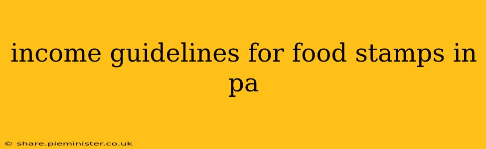 income guidelines for food stamps in pa