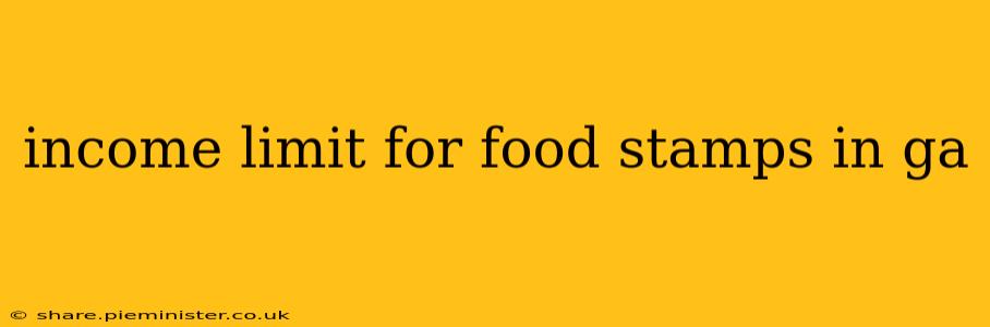 income limit for food stamps in ga