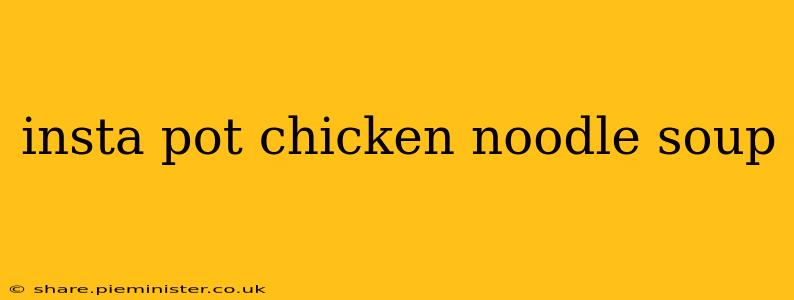 insta pot chicken noodle soup