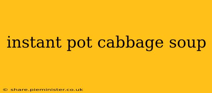 instant pot cabbage soup