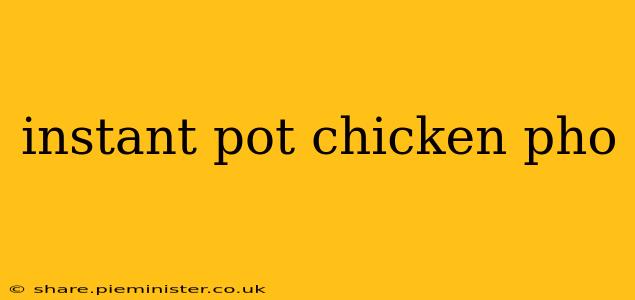 instant pot chicken pho