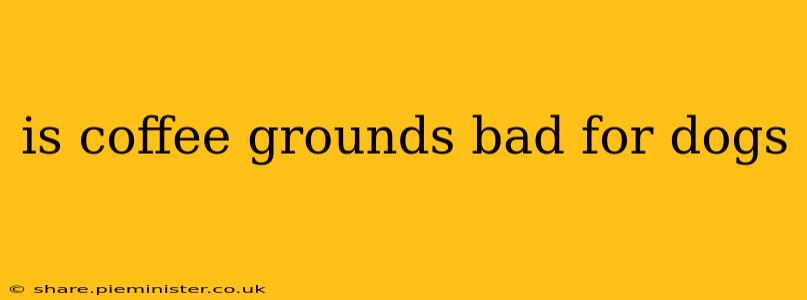 is coffee grounds bad for dogs