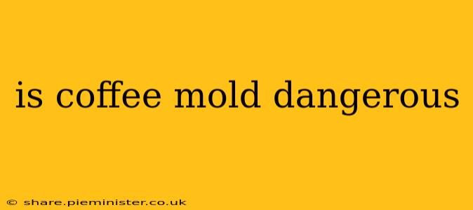 is coffee mold dangerous