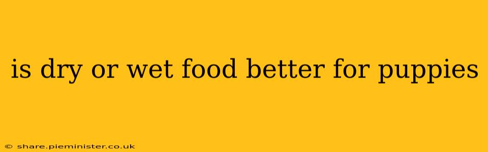is dry or wet food better for puppies