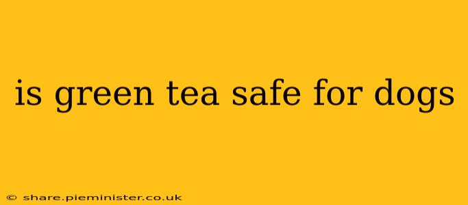 is green tea safe for dogs