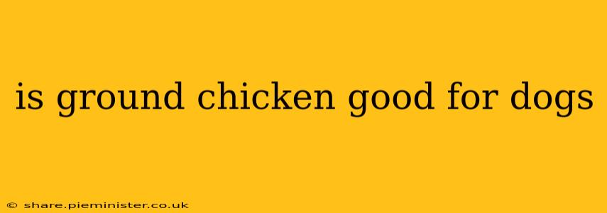 is ground chicken good for dogs