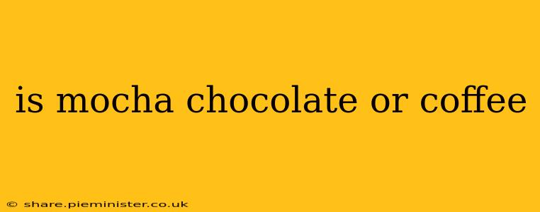 is mocha chocolate or coffee