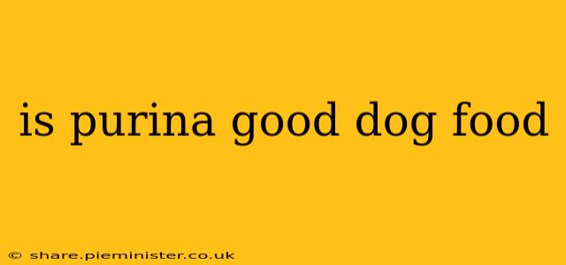 is purina good dog food