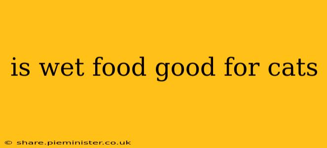 is wet food good for cats