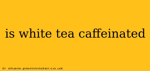 is white tea caffeinated