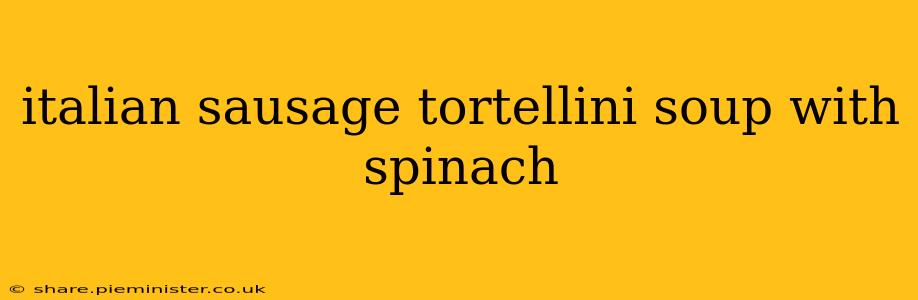 italian sausage tortellini soup with spinach