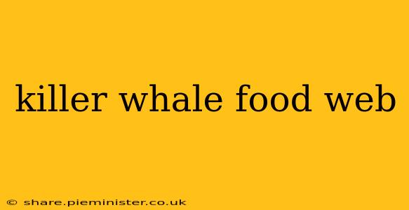 killer whale food web
