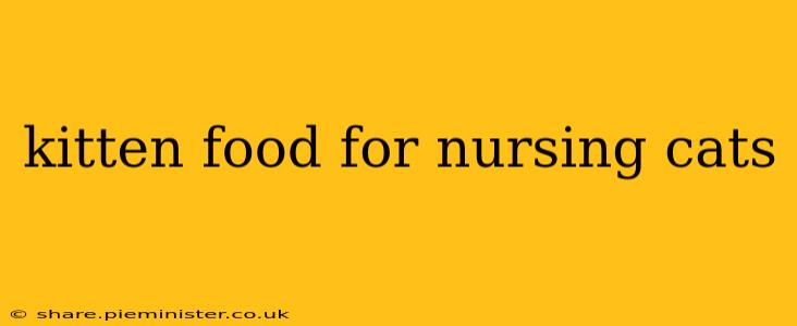 kitten food for nursing cats