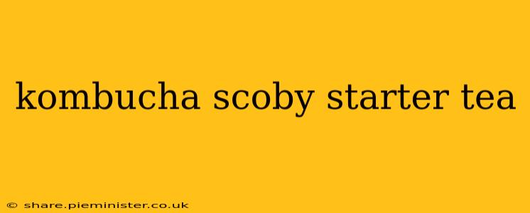 kombucha scoby starter tea