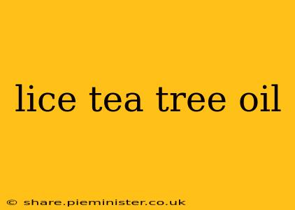 lice tea tree oil