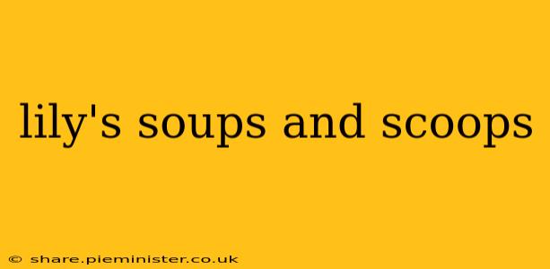 lily's soups and scoops