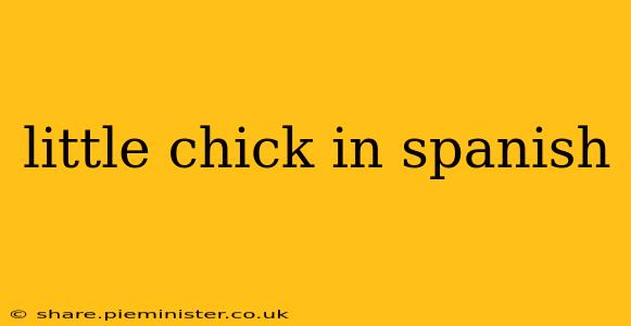 little chick in spanish