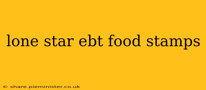 lone star ebt food stamps