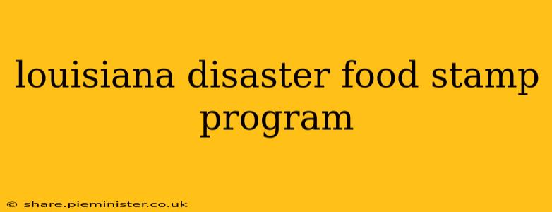 louisiana disaster food stamp program