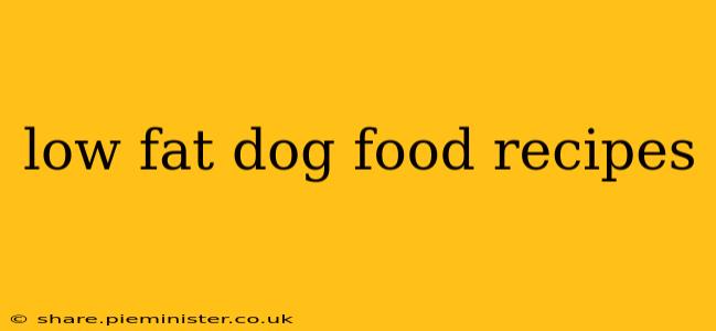 low fat dog food recipes