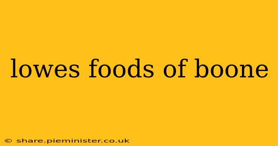 lowes foods of boone