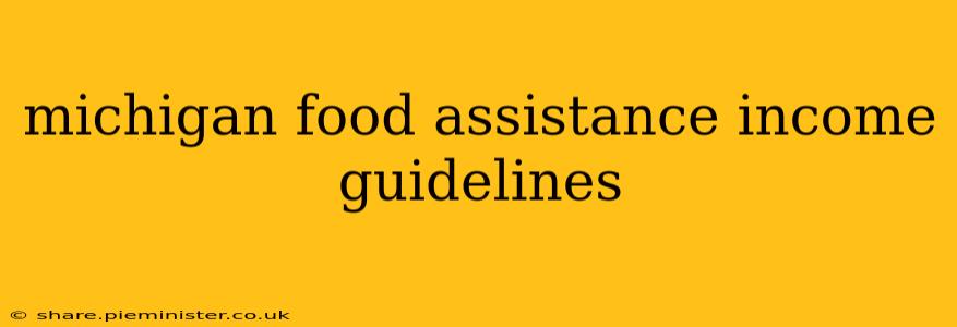 michigan food assistance income guidelines