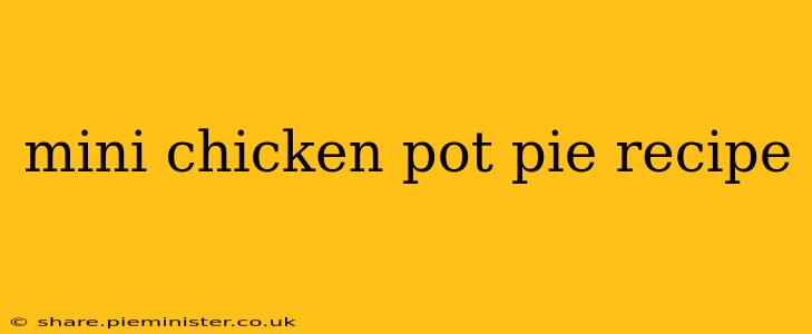 mini chicken pot pie recipe