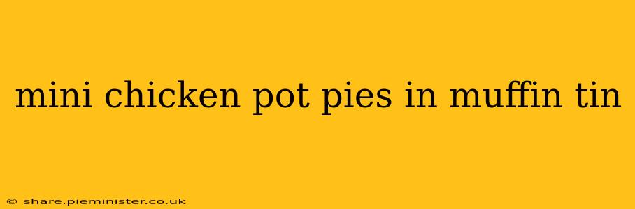 mini chicken pot pies in muffin tin