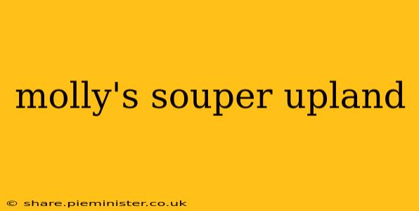 molly's souper upland