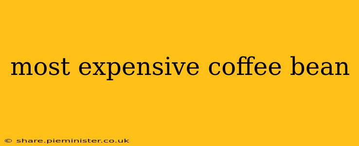 most expensive coffee bean