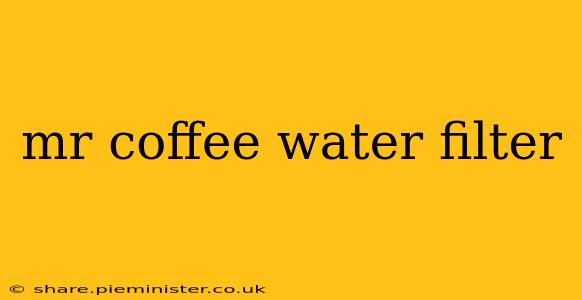 mr coffee water filter