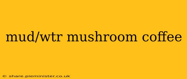 mud/wtr mushroom coffee