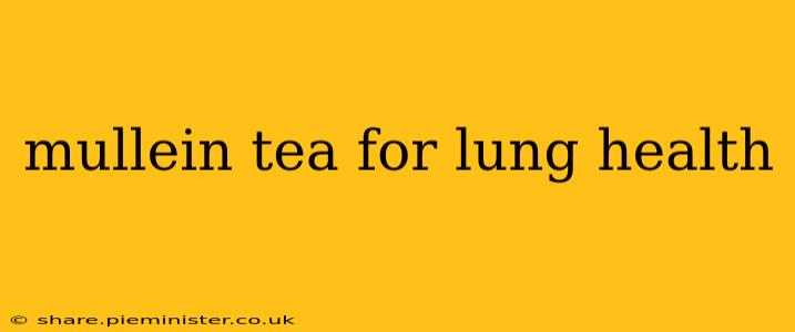 mullein tea for lung health