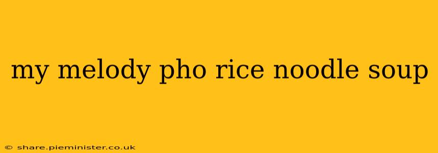 my melody pho rice noodle soup