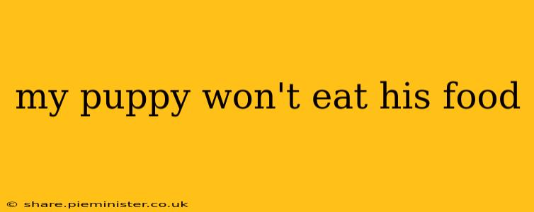 my puppy won't eat his food