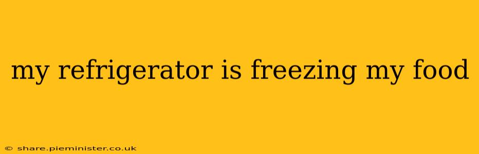 my refrigerator is freezing my food