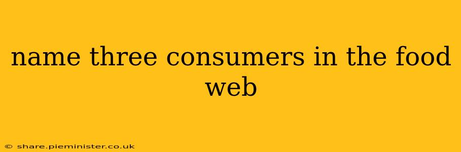 name three consumers in the food web